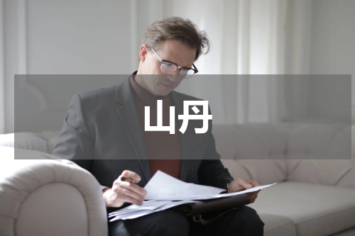 山丹