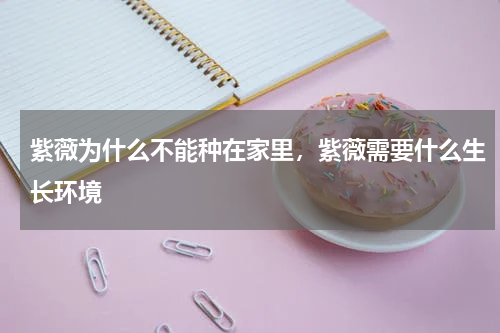 紫薇为什么不能种在家里，紫薇需要什么生长环境
