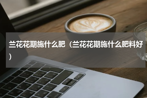 兰花花期施什么肥（兰花花期施什么肥料好）