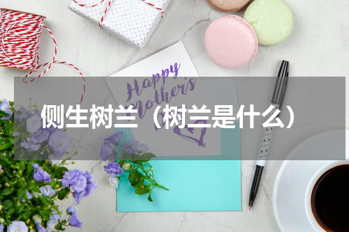 侧生树兰（树兰是什么）