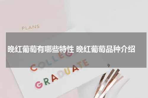 晚红葡萄有哪些特性 晚红葡萄品种介绍