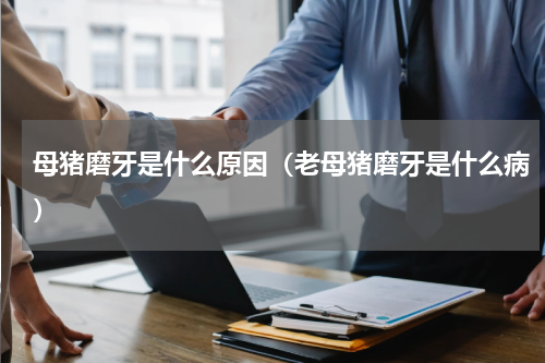 母猪磨牙是什么原因（老母猪磨牙是什么病）