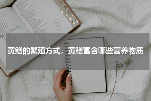 黄鳝的繁殖方式，黄鳝富含哪些营养物质