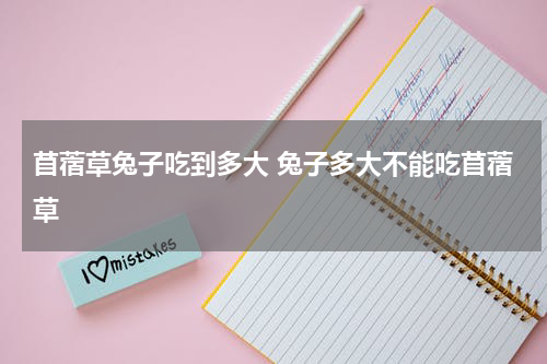 苜蓿草兔子吃到多大 兔子多大不能吃苜蓿草