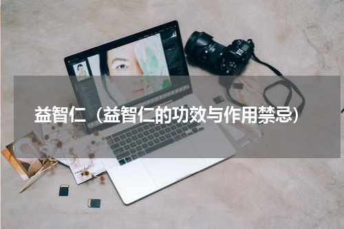 益智仁（益智仁的功效与作用禁忌）
