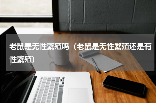 老鼠是无性繁殖吗（老鼠是无性繁殖还是有性繁殖）