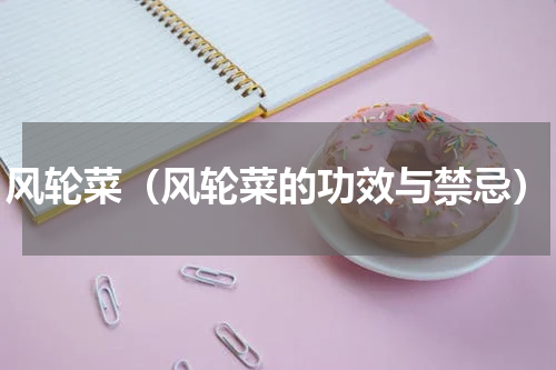 风轮菜（风轮菜的功效与禁忌）
