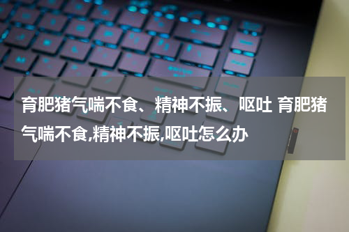 育肥猪气喘不食、精神不振、呕吐 育肥猪气喘不食,精神不振,呕吐怎么办