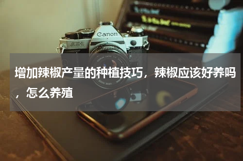 增加辣椒产量的种植技巧，辣椒应该好养吗，怎么养殖