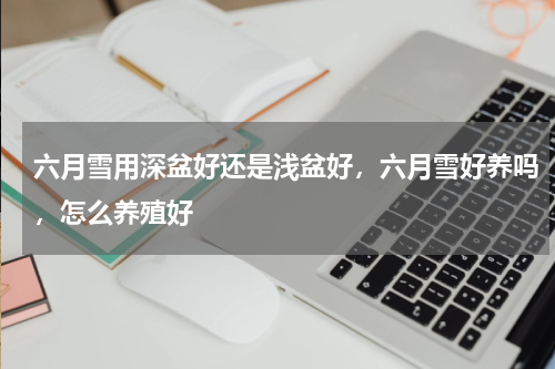 六月雪用深盆好还是浅盆好，六月雪好养吗，怎么养殖好