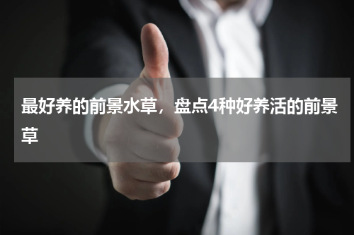 最好养的前景水草，盘点4种好养活的前景草