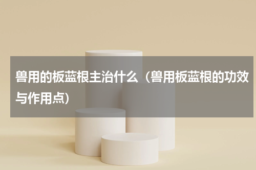 兽用的板蓝根主治什么（兽用板蓝根的功效与作用点）