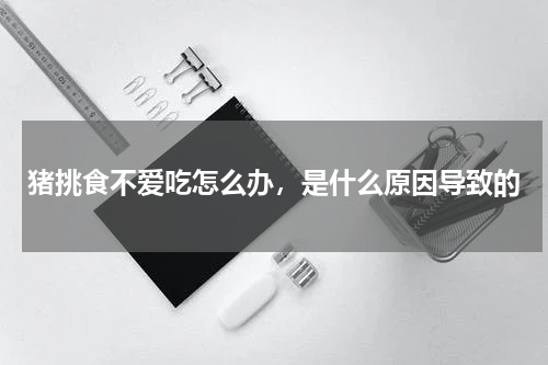 猪挑食不爱吃怎么办，是什么原因导致的
