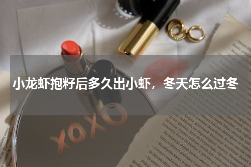 小龙虾抱籽后多久出小虾，冬天怎么过冬
