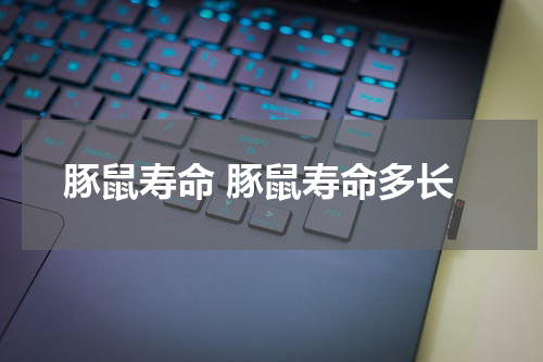 豚鼠寿命 豚鼠寿命多长