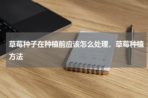 草莓种子在种植前应该怎么处理，草莓种植方法