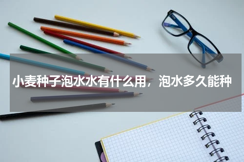 小麦种子泡水水有什么用，泡水多久能种