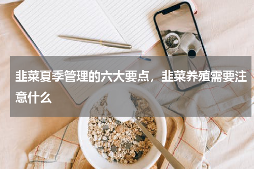 韭菜夏季管理的六大要点，韭菜养殖需要注意什么