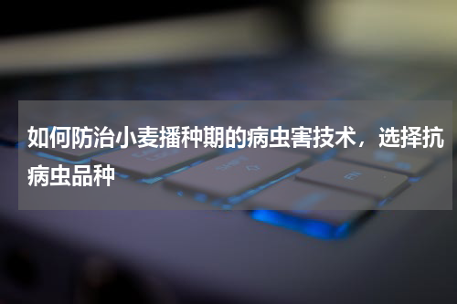 如何防治小麦播种期的病虫害技术，选择抗病虫品种