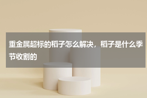 重金属超标的稻子怎么解决，稻子是什么季节收割的