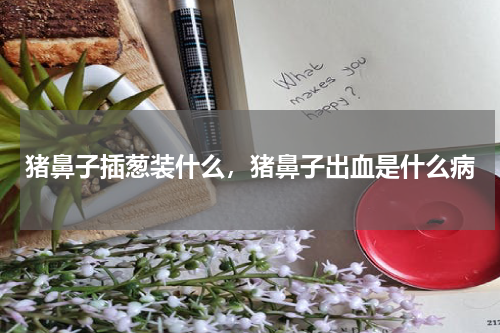 猪鼻子插葱装什么，猪鼻子出血是什么病