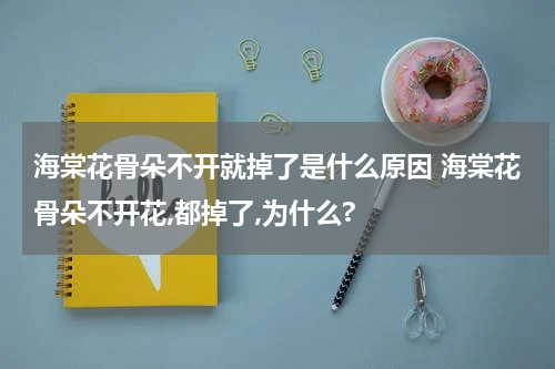 海棠花骨朵不开就掉了是什么原因 海棠花骨朵不开花,都掉了,为什么?