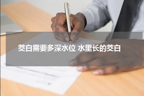 茭白需要多深水位 水里长的茭白