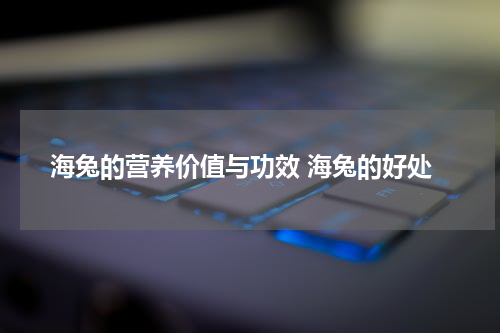海兔的营养价值与功效 海兔的好处