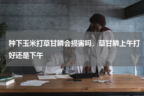 种下玉米打草甘膦会损害吗，草甘膦上午打好还是下午