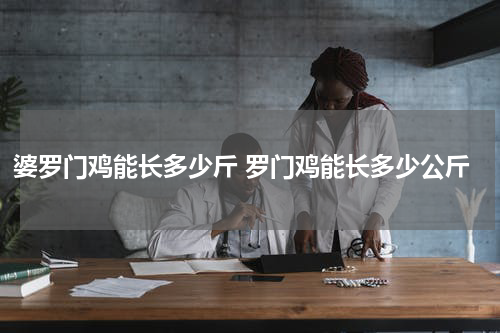 婆罗门鸡能长多少斤 罗门鸡能长多少公斤