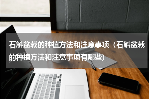 石斛盆栽的种植方法和注意事项（石斛盆栽的种植方法和注意事项有哪些）