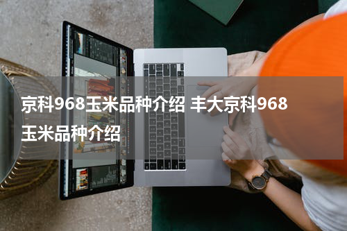 京科968玉米品种介绍 丰大京科968玉米品种介绍