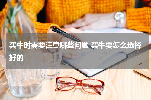 买牛时需要注意哪些问题 买牛要怎么选择好的