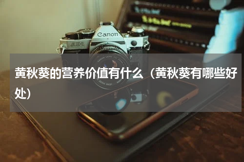 黄秋葵的营养价值有什么（黄秋葵有哪些好处）