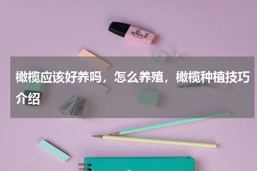 橄榄应该好养吗，怎么养殖，橄榄种植技巧介绍