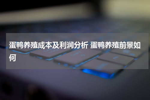 蛋鸭养殖成本及利润分析 蛋鸭养殖前景如何
