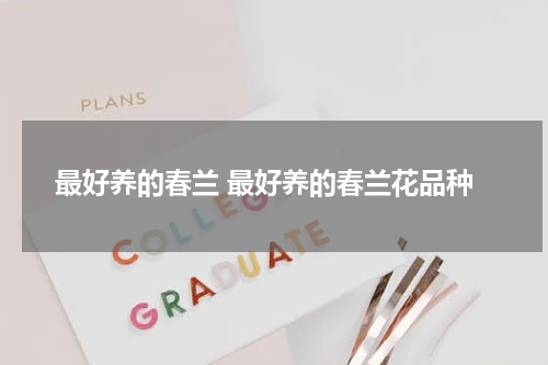 最好养的春兰 最好养的春兰花品种
