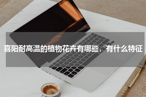 喜阳耐高温的植物花卉有哪些，有什么特征