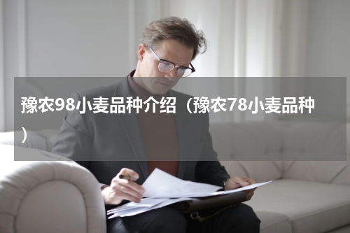豫农98小麦品种介绍（豫农78小麦品种）
