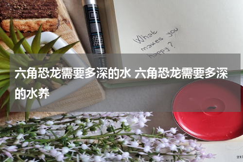 六角恐龙需要多深的水 六角恐龙需要多深的水养