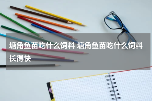 塘角鱼苗吃什么饲料 塘角鱼苗吃什么饲料长得快