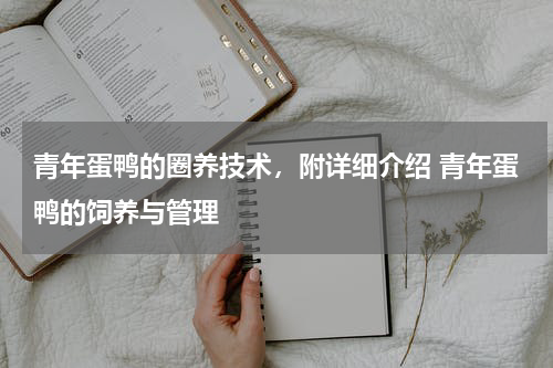 青年蛋鸭的圈养技术，附详细介绍 青年蛋鸭的饲养与管理