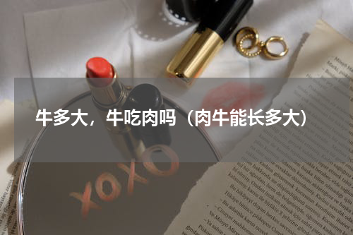 牛多大，牛吃肉吗（肉牛能长多大）