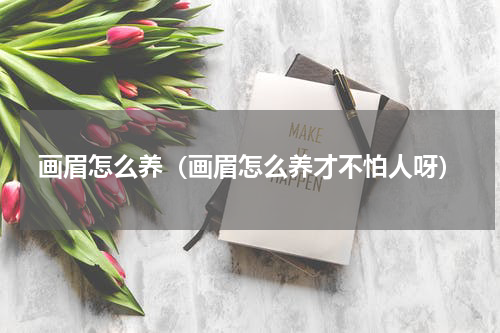 画眉怎么养（画眉怎么养才不怕人呀）