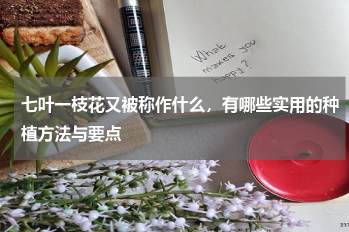 七叶一枝花又被称作什么，有哪些实用的种植方法与要点