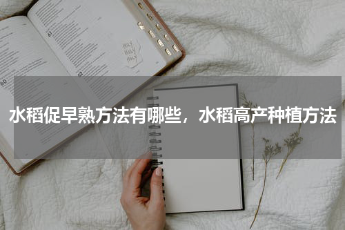 水稻促早熟方法有哪些，水稻高产种植方法