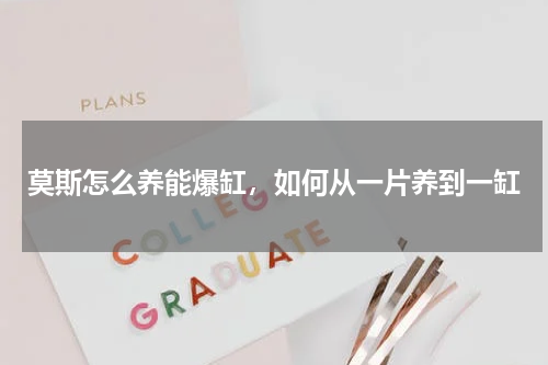 莫斯怎么养能爆缸，如何从一片养到一缸