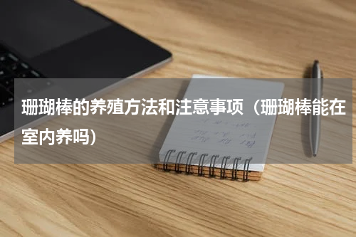 珊瑚棒的养殖方法和注意事项（珊瑚棒能在室内养吗）