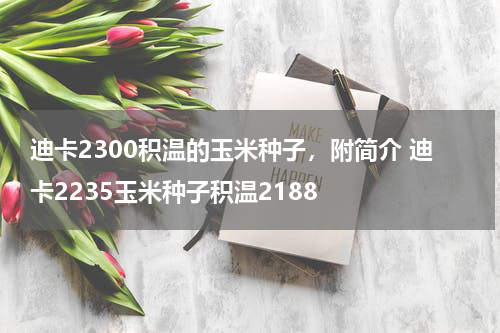 迪卡2300积温的玉米种子，附简介 迪卡2235玉米种子积温2188