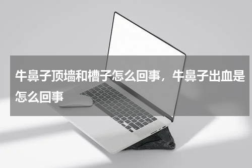 牛鼻子顶墙和槽子怎么回事，牛鼻子出血是怎么回事